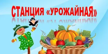 Есть у нас огород!