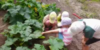 Есть у нас огород!