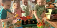 Огород на окошке